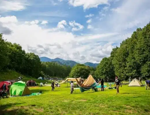 New Acoustic Camp
