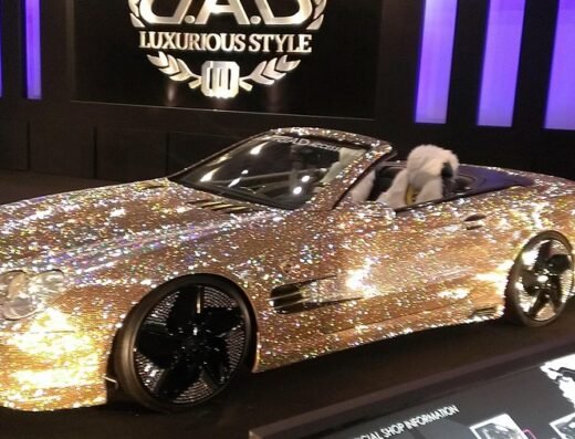 TOKYO AUTO SALON 2027 – Chiba, Japan