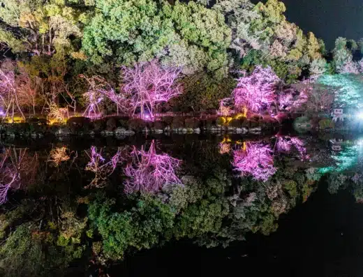 Heian Shrine Sakura Otoyo 2027 – Kyoto, Japan