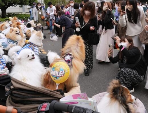 Interpets Tokyo