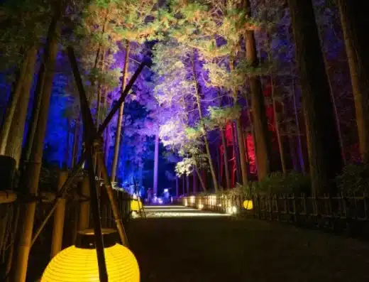 Kairakuen UME The Lights 2027 – Mito, Japan
