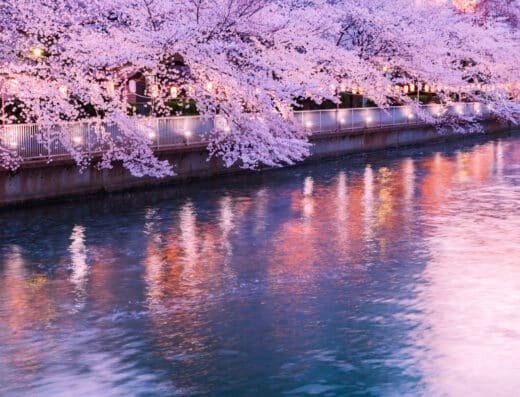 Oedo Fukagawa Cherry Blossom Festival 2027 – Tokyo, Japan