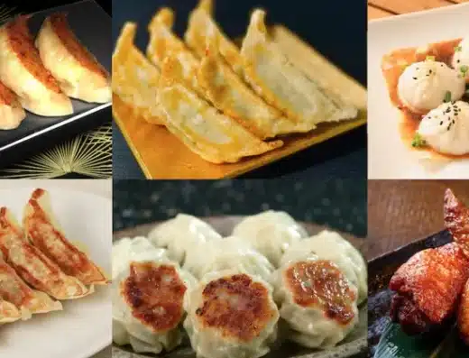 Lake Hamana Gyoza Festival 2027 – Kosai, Japan