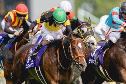 Japan Cup