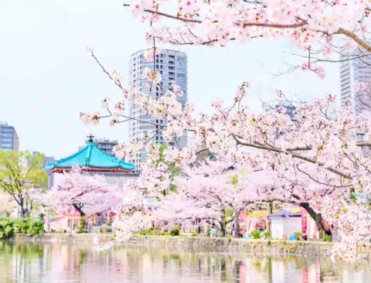 Ueno Cherry Blossom Festival 2027 – Tokyo, Japan