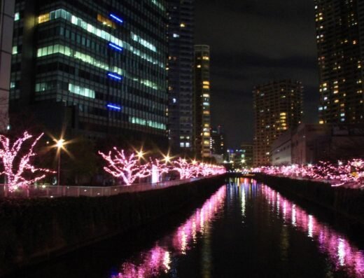 Meguro River Minna no Illumi 2026-2027 – Shinagawa-ku, Japan