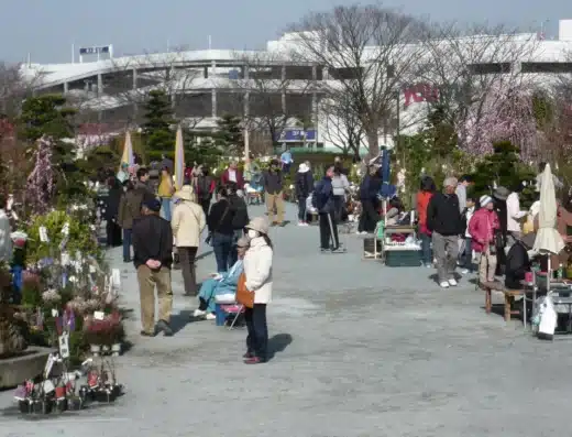 Kurume Ueki Festival 2027 – Kurume, Japan