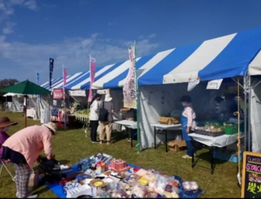 Kurume City Cosmos Festival 2026 – Kurume, Japan
