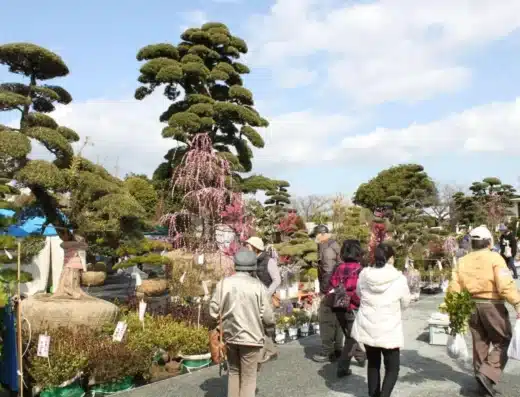 Kurume Ueki Festival 2027 – Kurume, Japan