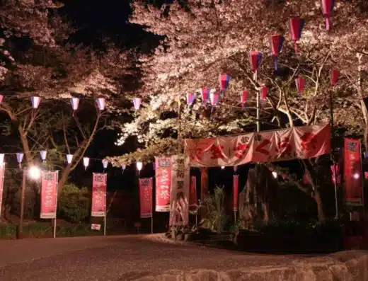 Kinugasa Sakura Festival 2027 – Yokosuka, Japan