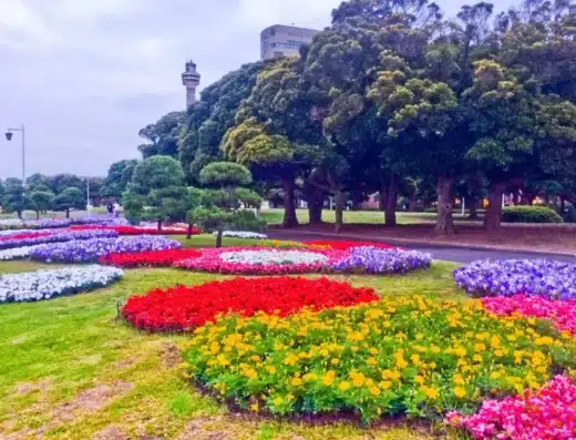 Yokohama Night Flowers