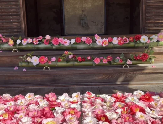 Reikanji Temple Camellia Event