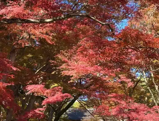 Yamashina Gishi Matsuri 2026 – Kyoto, Japan