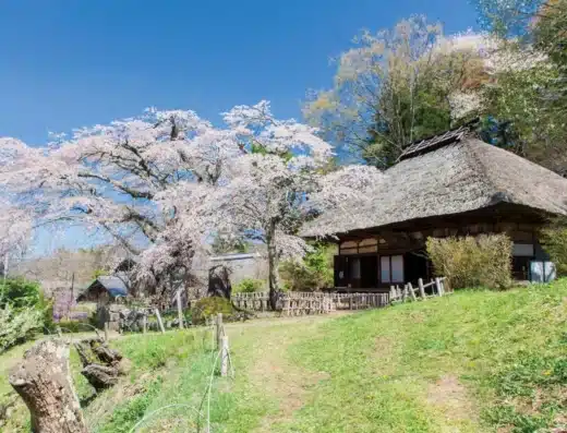 Takamori Kannon-do Sakura Festival 2027 – Takamori, Japan