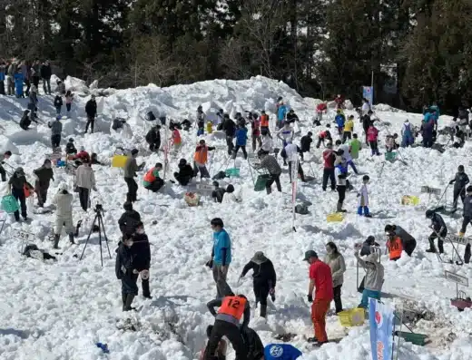 Tsunan Snow Carrot Digging Competition