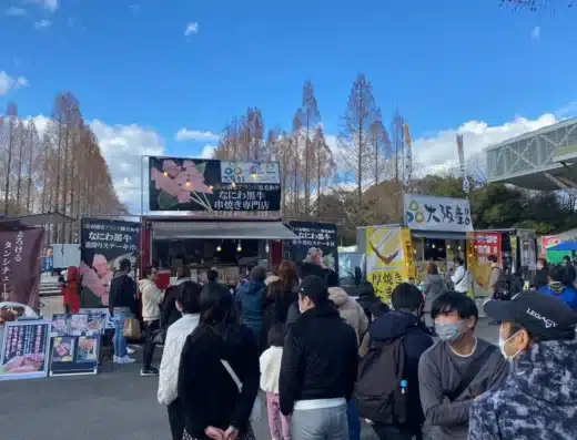 Japanese Food Festival