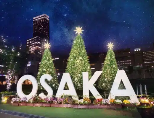 Osaka Christmas Market