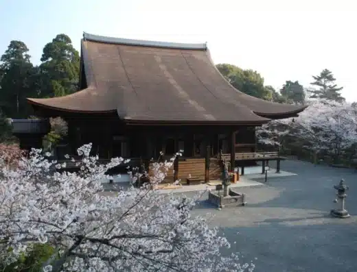 Mii-dera Cherry Blossom Awa Odori