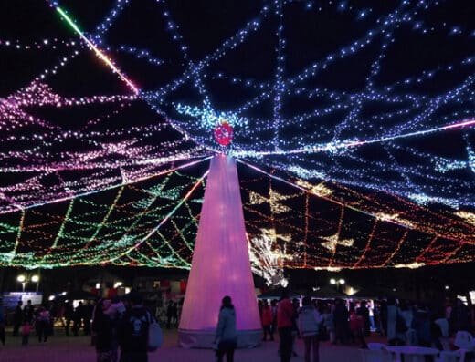 Shunan Winter Tree Festival 2026-2027 – Shunan, Japan