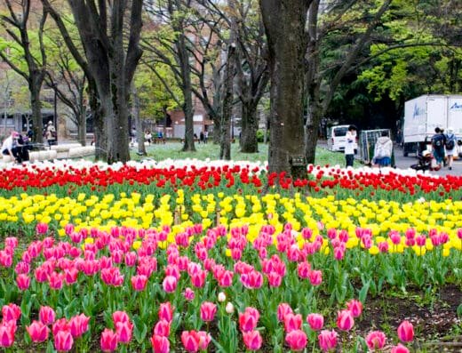 Hibiya Park Gardening Show