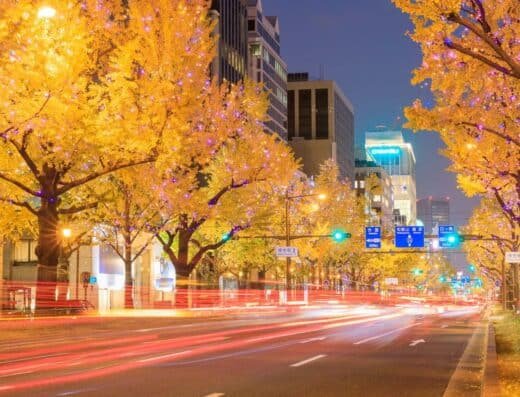 Midosuji Illuminations 2026 – Osaka, Japan