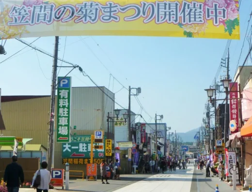 Kasama Chrysanthemum Festival 2026 – Japan