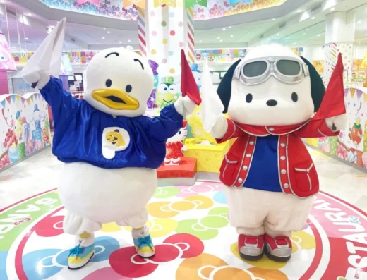 Sanrio Fes