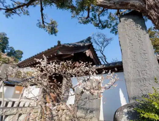 Sugita Plum Blossom Festival