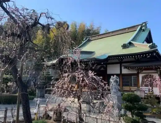 Sugita Plum Blossom Festival 2027 – Yokohama, Japan