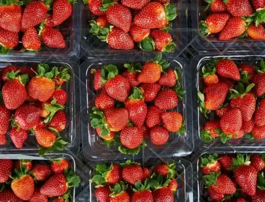 Yokohama Strawberry Festival 2027 – Japan