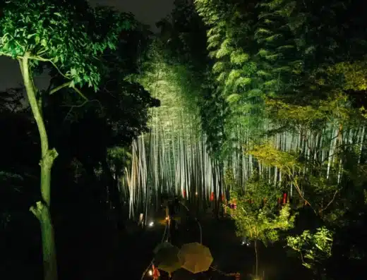 Kodai-ji Autumn Illumination 2026 – Kyoto, Japan