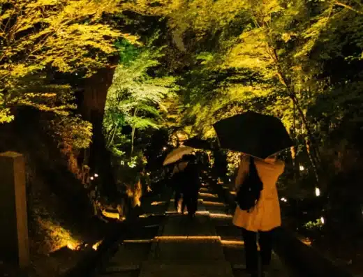 Kodai-ji Autumn Illumination