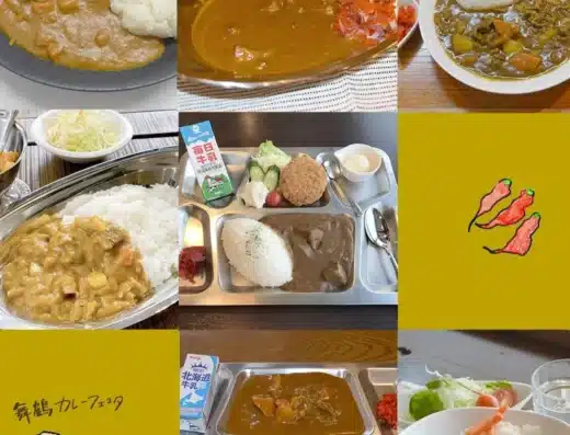 Maizuru Curry Festa 2027 – Maizuru, Japan