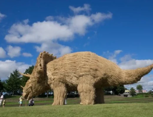 Wara Art Festival 2026 – Niigata, Japan
