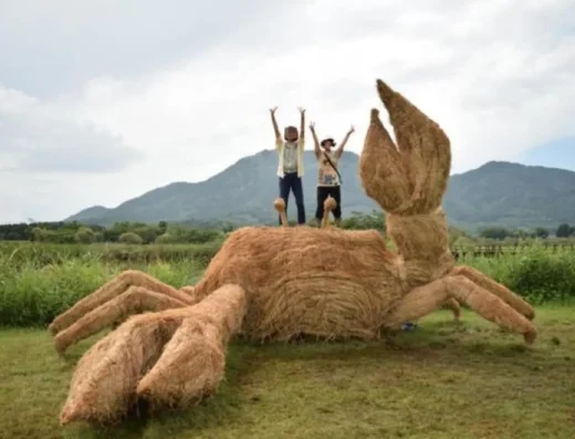 Wara Art Festival 2026 – Niigata, Japan