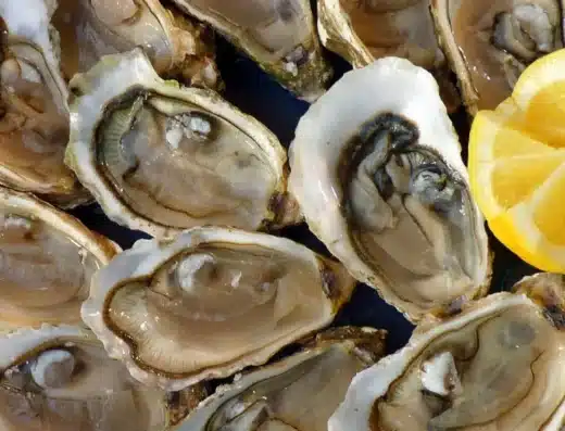 Nippo Coast Rock Oyster Festival