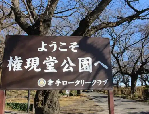Daffodil Festival at Gongendo Park