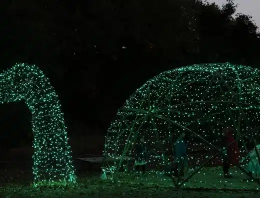 Fall Illumination Shinrin Park