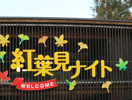 Fall Illumination Shinrin Park 2026 – Namegawa, Japan