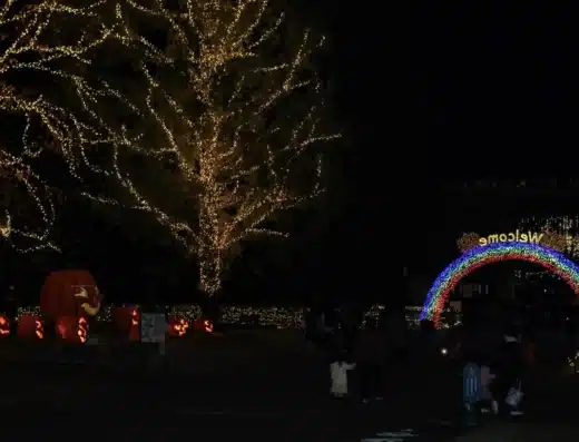 Halloween Night in the Forest