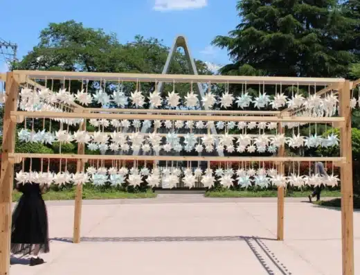 Pinwheels at Kawagoe Hikawa Shrine