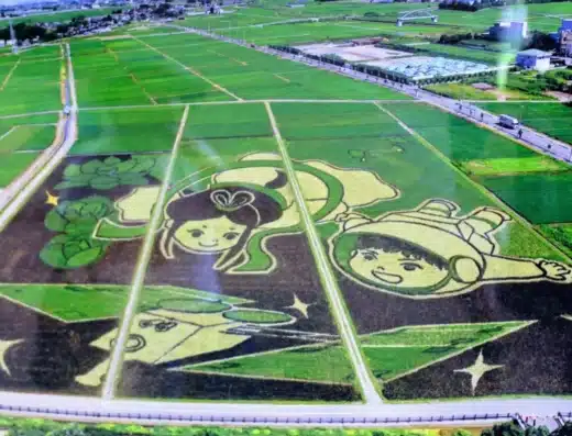 Rice Field Art in Gyoda 2026 – Japan