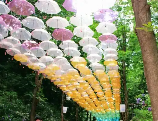 Umbrella Sky at Metsa Village