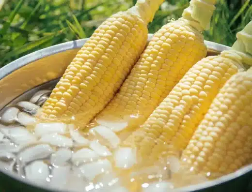 Corn Festival 2026 – Shiga, Japan