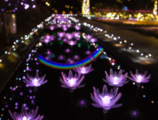 Ashikaga Flower Park Illumination