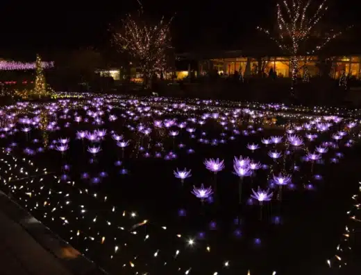 Ashikaga Flower Park Illumination 2026-2027 – Tochigi, Japan