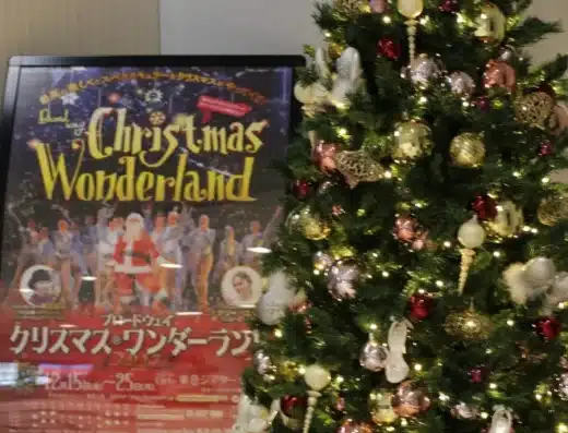 Broadway Christmas Wonderland
