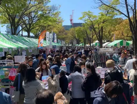 Dog Festival: Canine Fashion 2027 – Shibuya, Japan