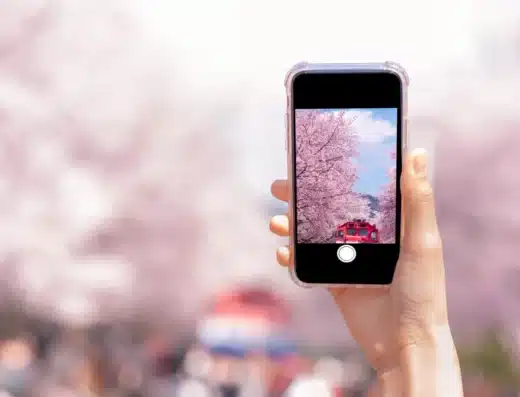 Gotenyama Sakura Festival 2027 – Tokyo, Japan