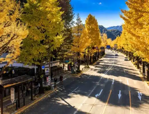 Hachioji Gingko Festival